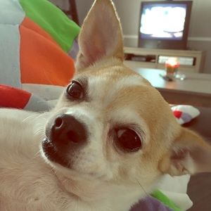 Mom says, “Thanks!!” 🐶